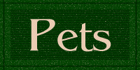Pets